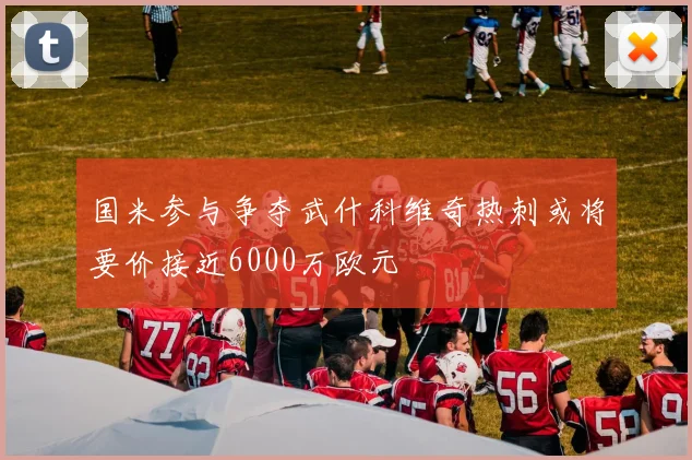 国米参与争夺武什科维奇热刺或将要价接近6000万欧元